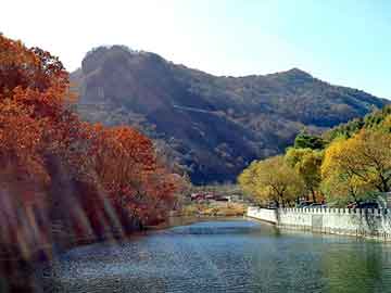 澳门二四六天天彩图库，泰国减肥药副作用